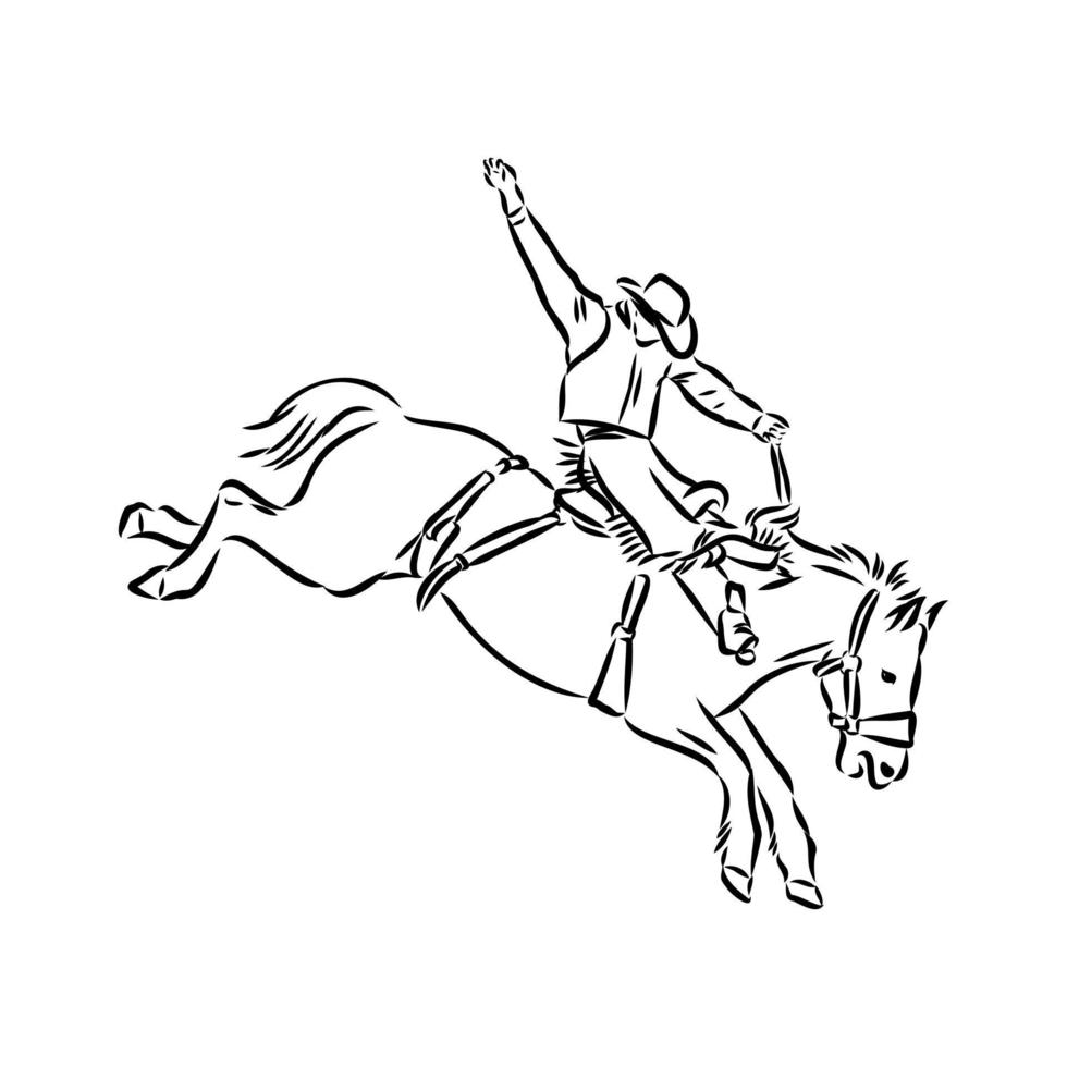 rodeo vector sketch