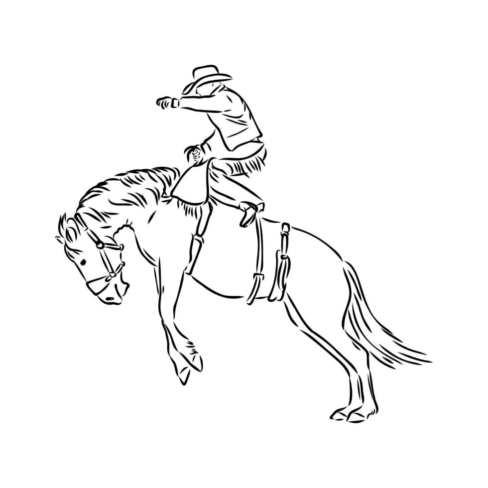 rodeo vector sketch