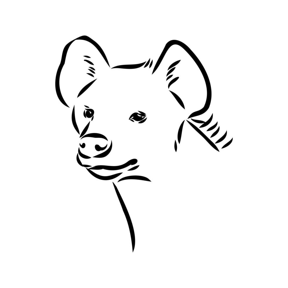 hyena vector sketch