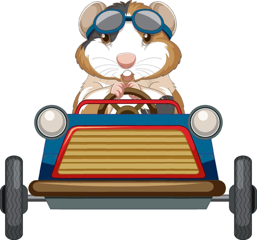 Guinea pig driving car toy cartoon vector