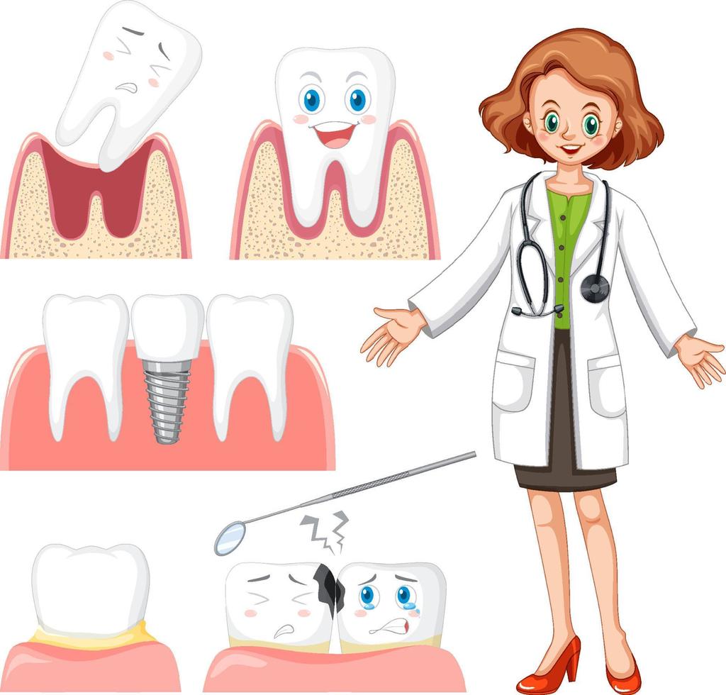 Set of all types of teeth on white background vector