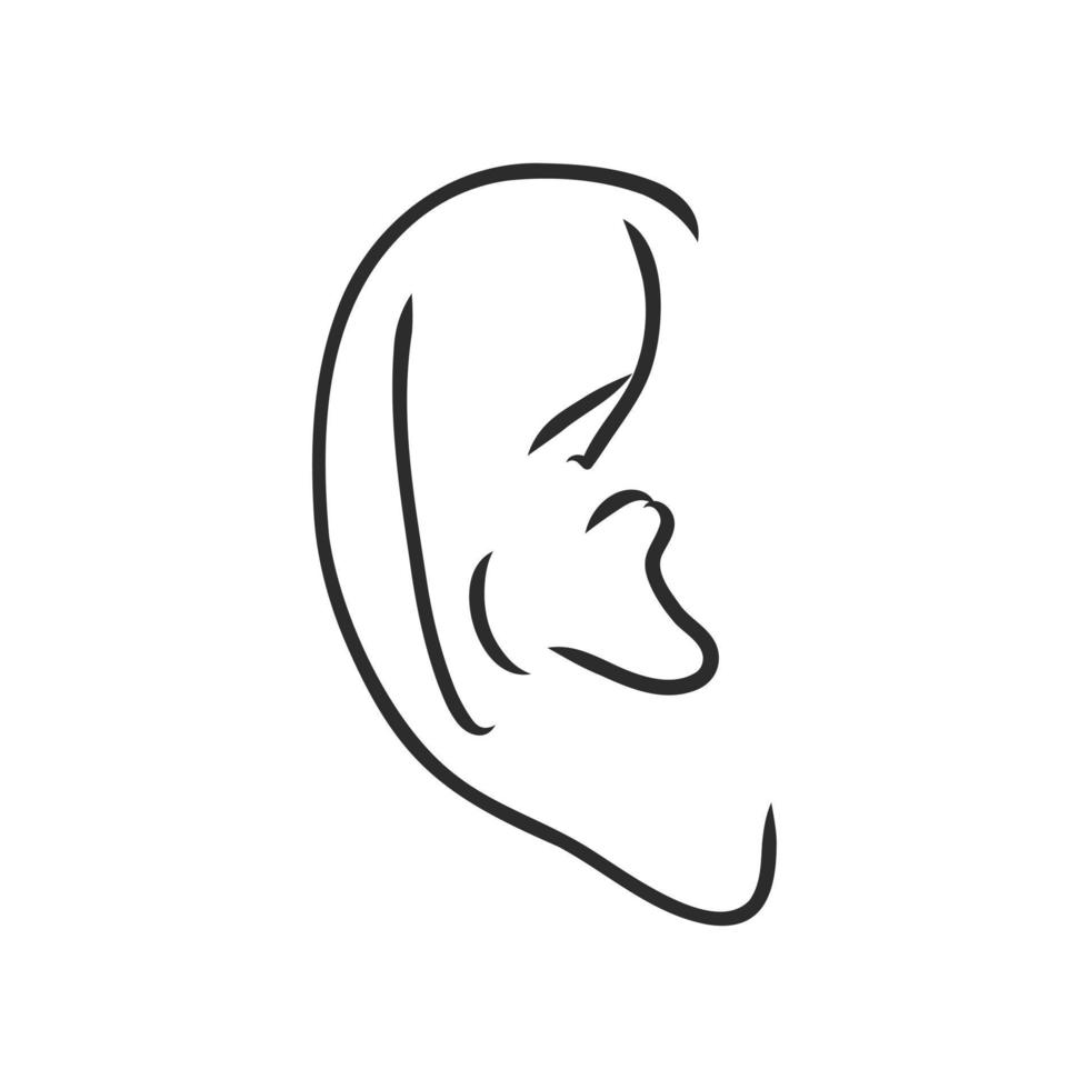 bosquejo del vector del oído humano