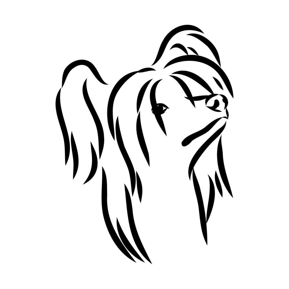 chinese crested dog vector sketch