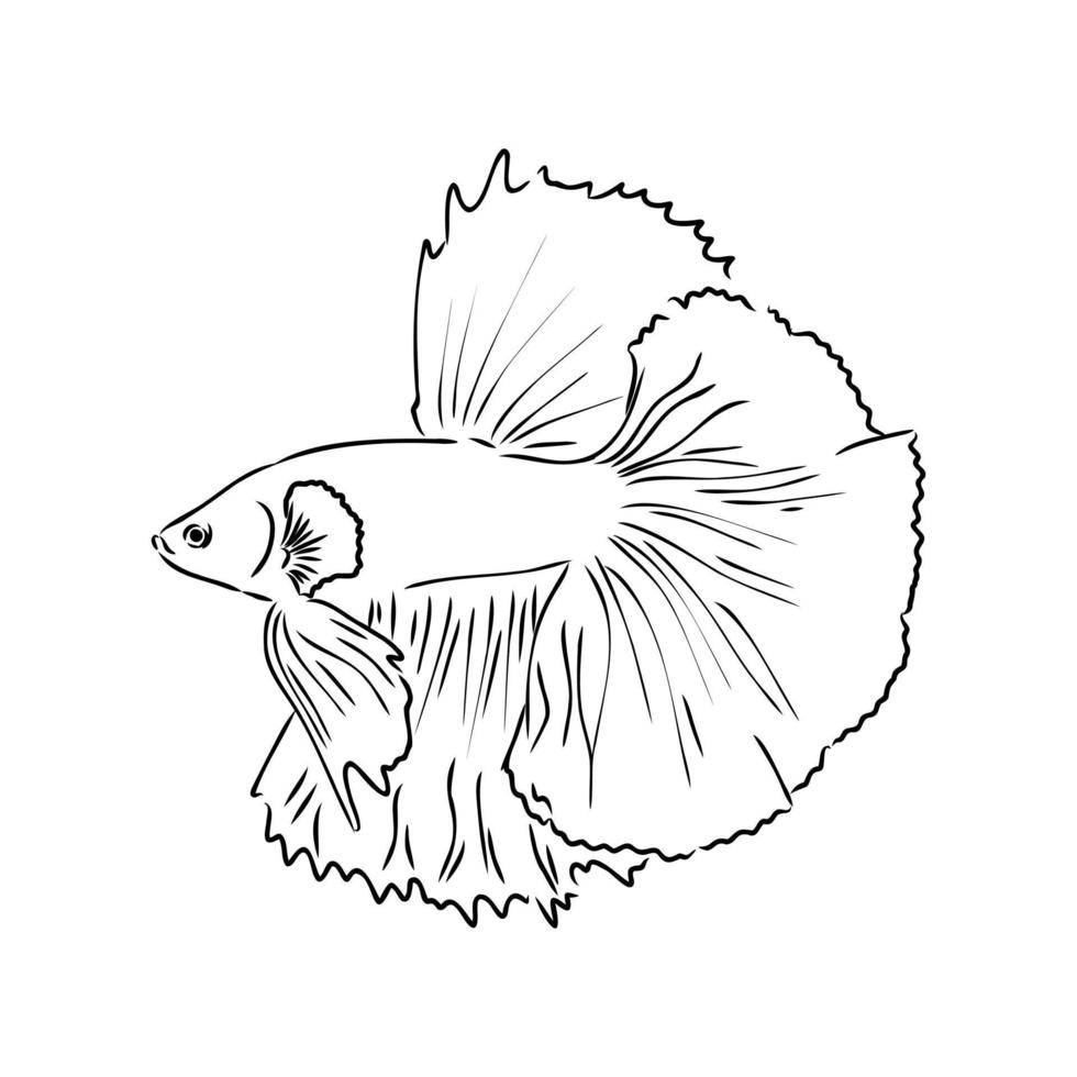 dibujo vectorial de peces de acuario vector