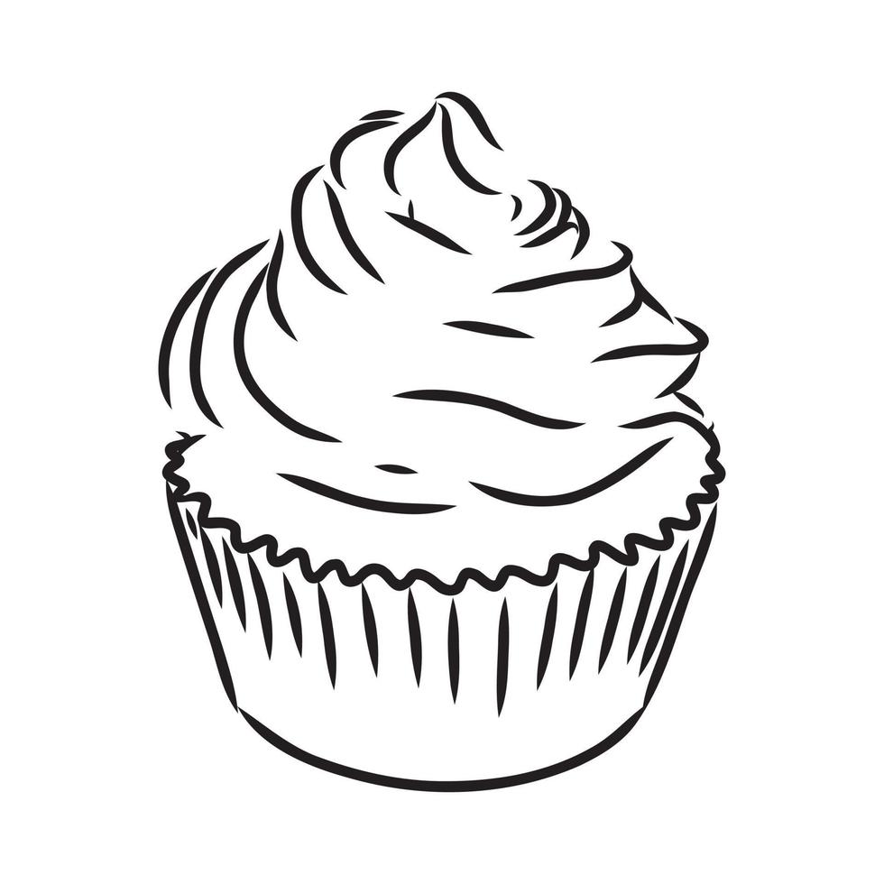 cupcake vector sketch