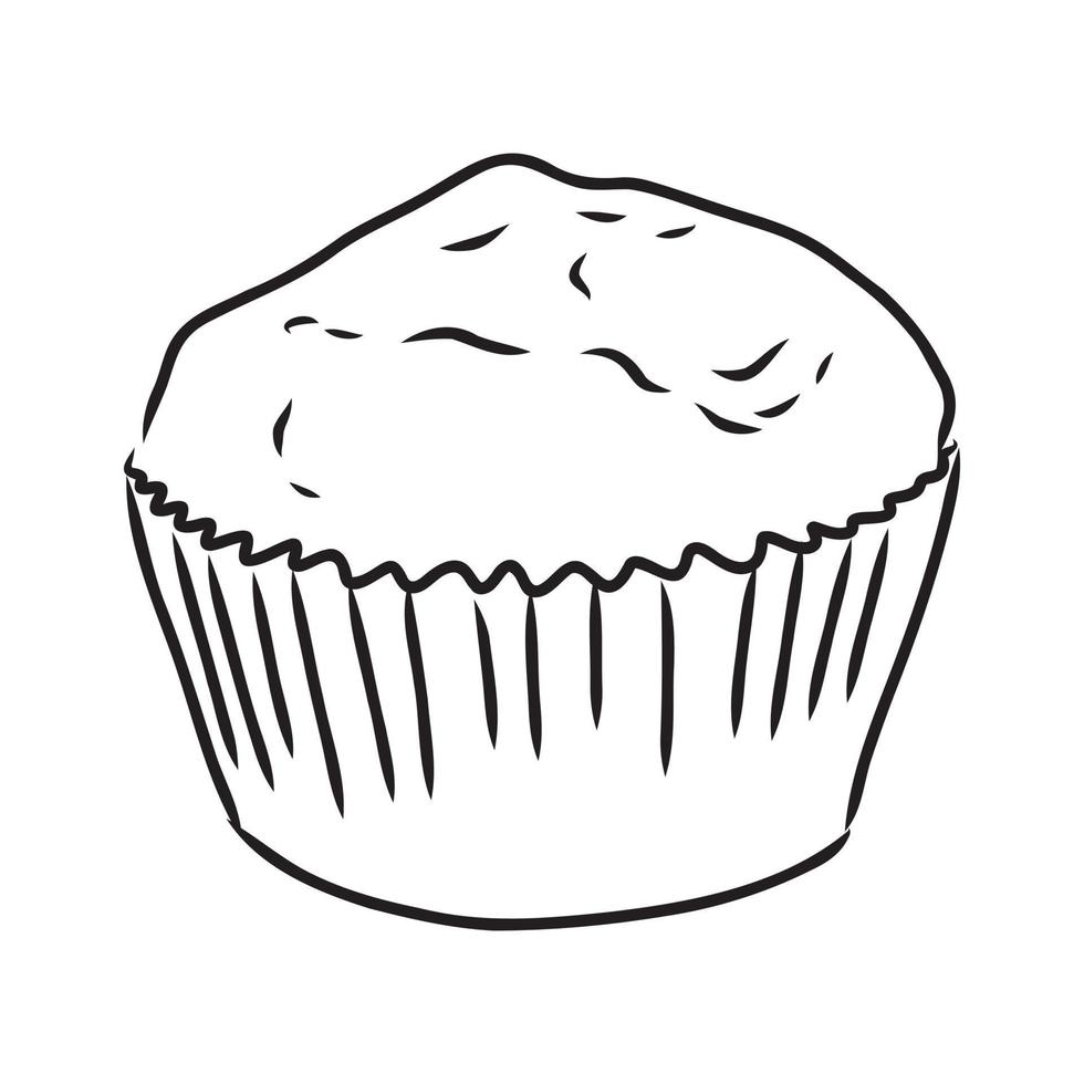 cupcake vector sketch