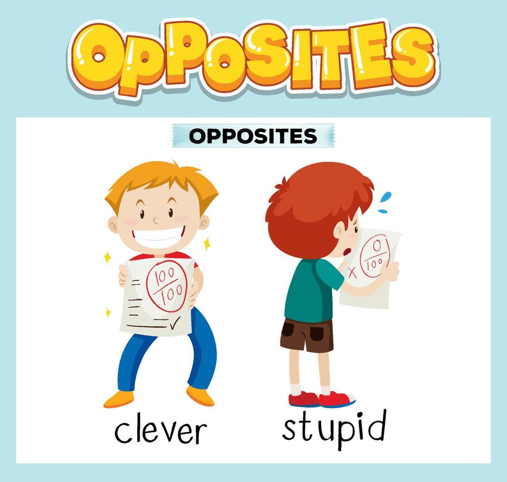 Opposite English words with clever and stupid vector
