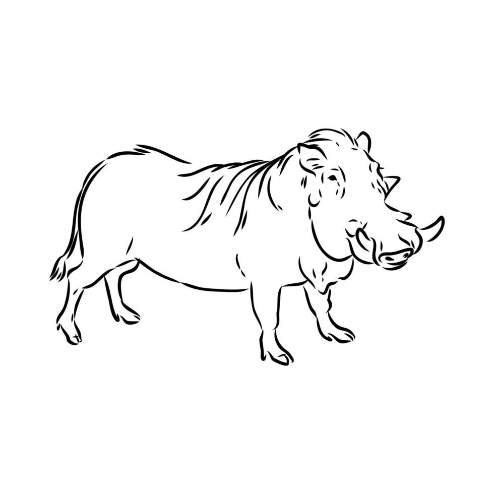 warthog vector sketch