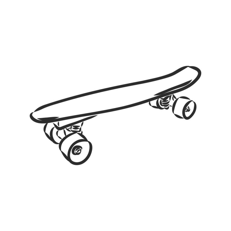 skateboard vector sketch