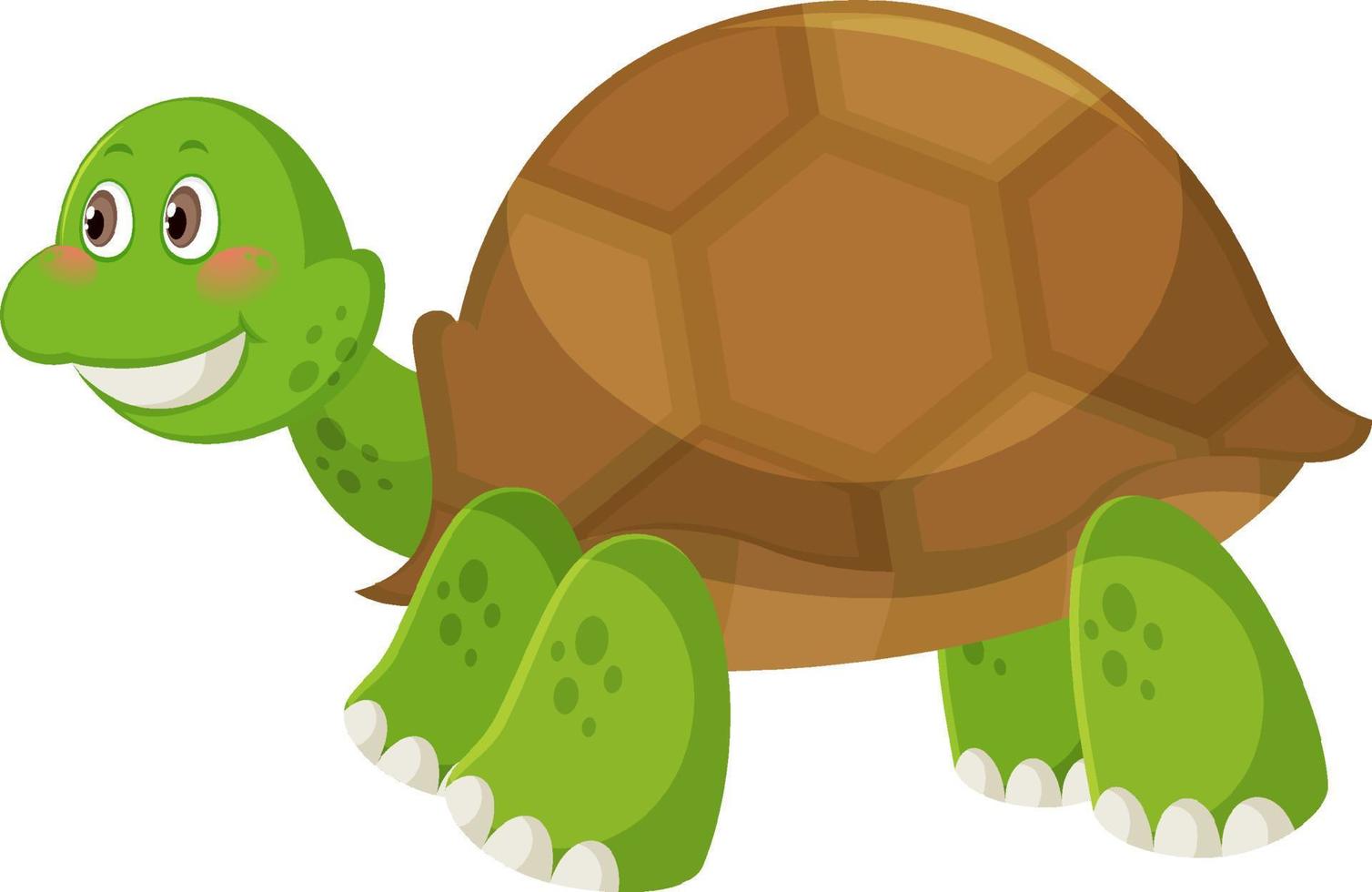 Cute simple turtle cartoon on white background vector