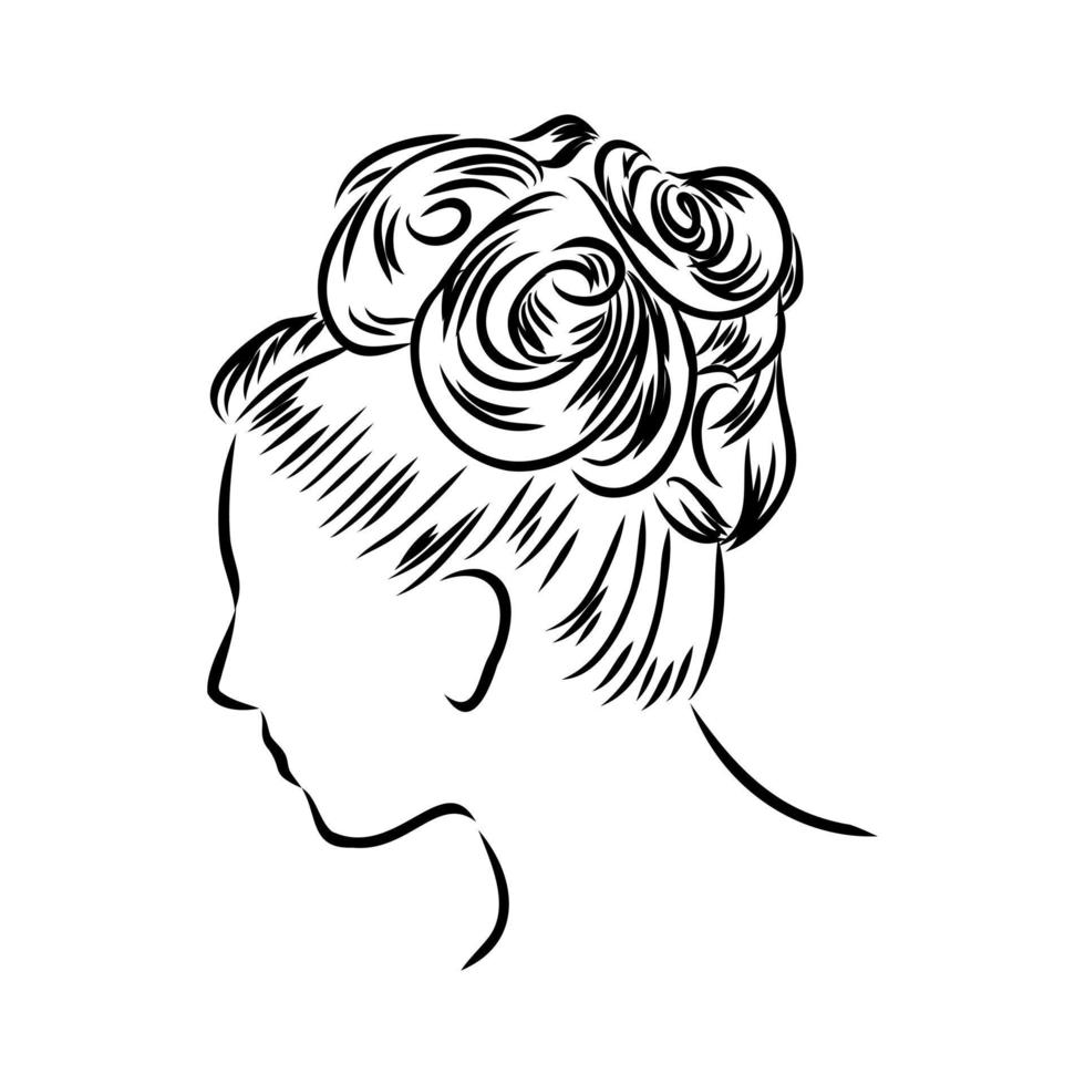 beautiful hairstyle vector sketch