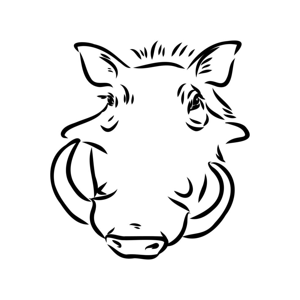 warthog vector sketch