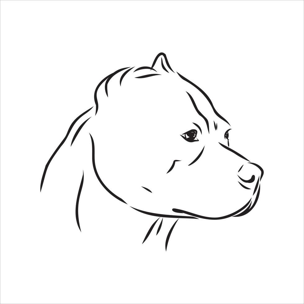 pit bull terrier vector sketch