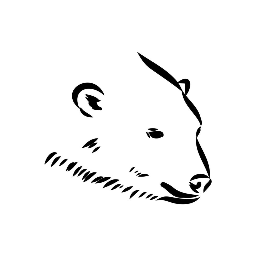 bosquejo del vector del oso polar