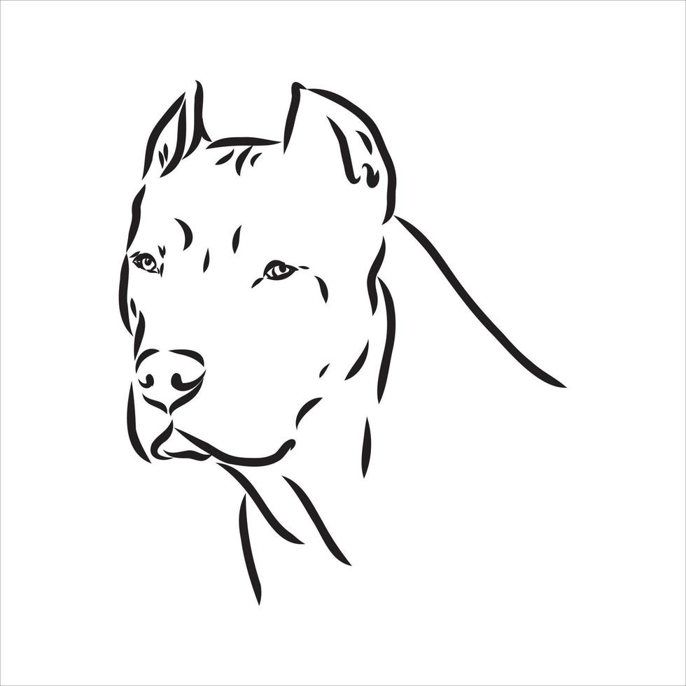 dibujo vectorial pit bull terrier 7311881 Vector en Vecteezy dibujo vectorial pit bull terrier 7311881 Vector en Vecteezy