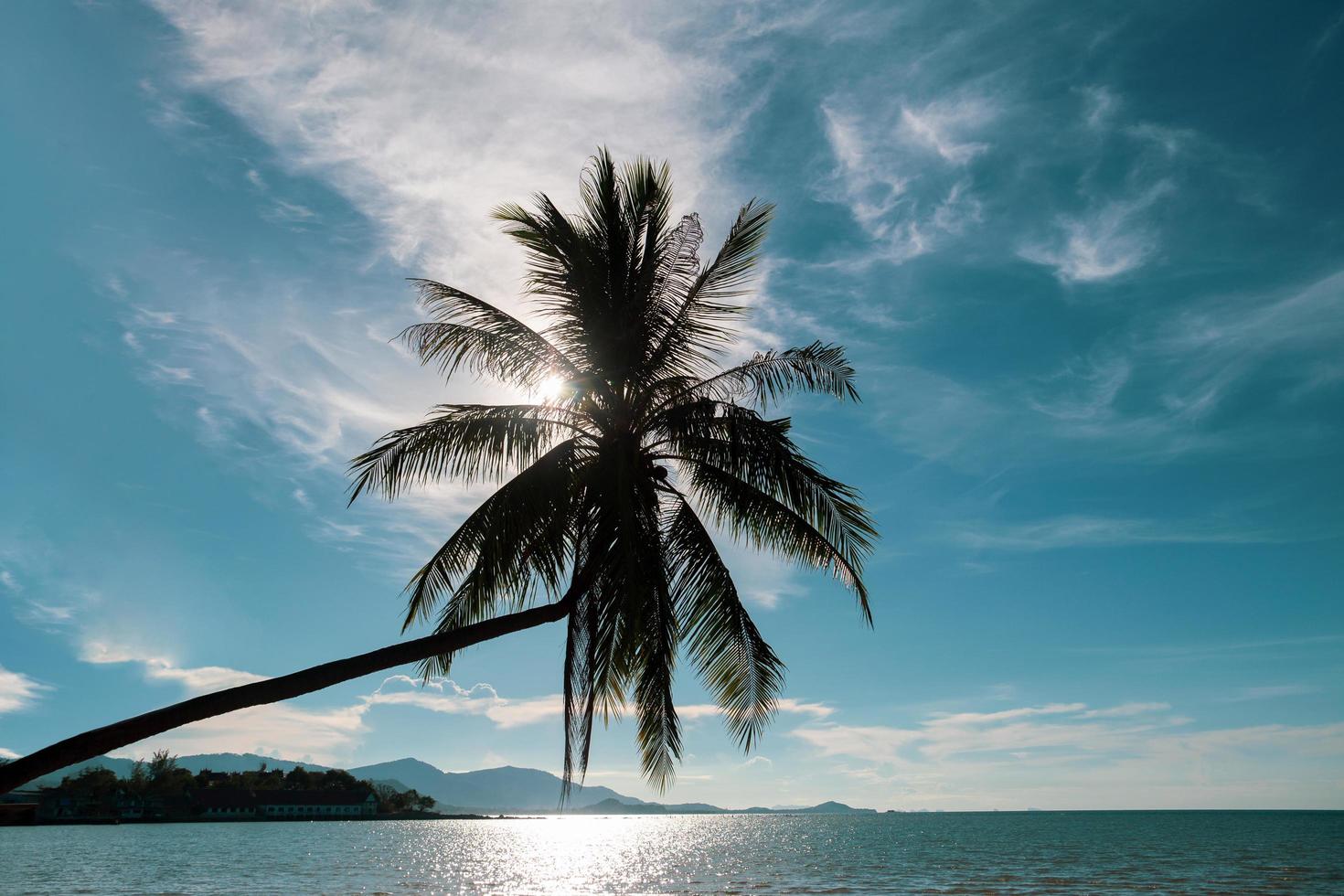 palmera de coco en el océano contra el cielo turquesa en la isla de koh samui en tailandia. foto