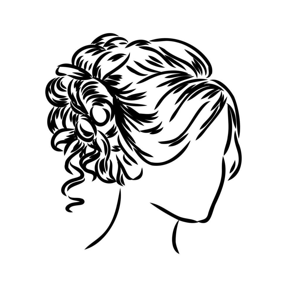 beautiful hairstyle vector sketch