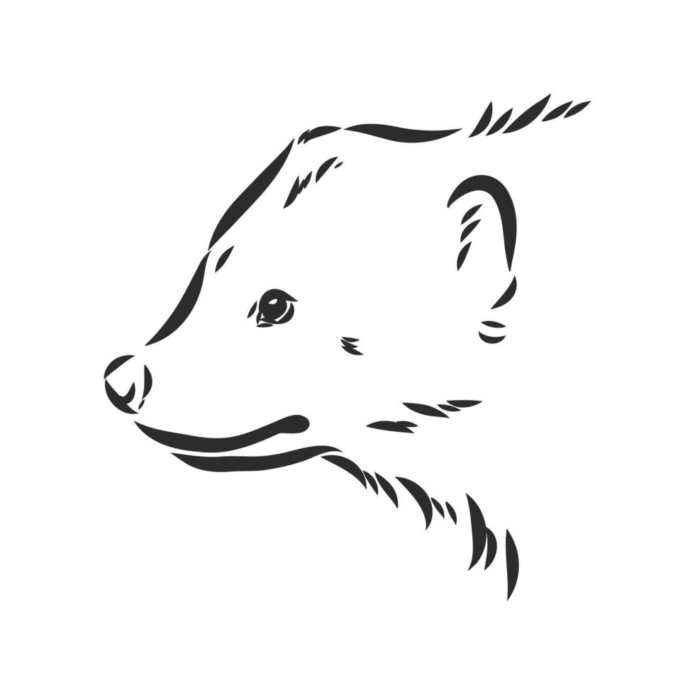 wolverine vector sketch 7312119 Vector Art at Vecteezy wolverine vector sketch 7312119 Vector Art at Vecteezy