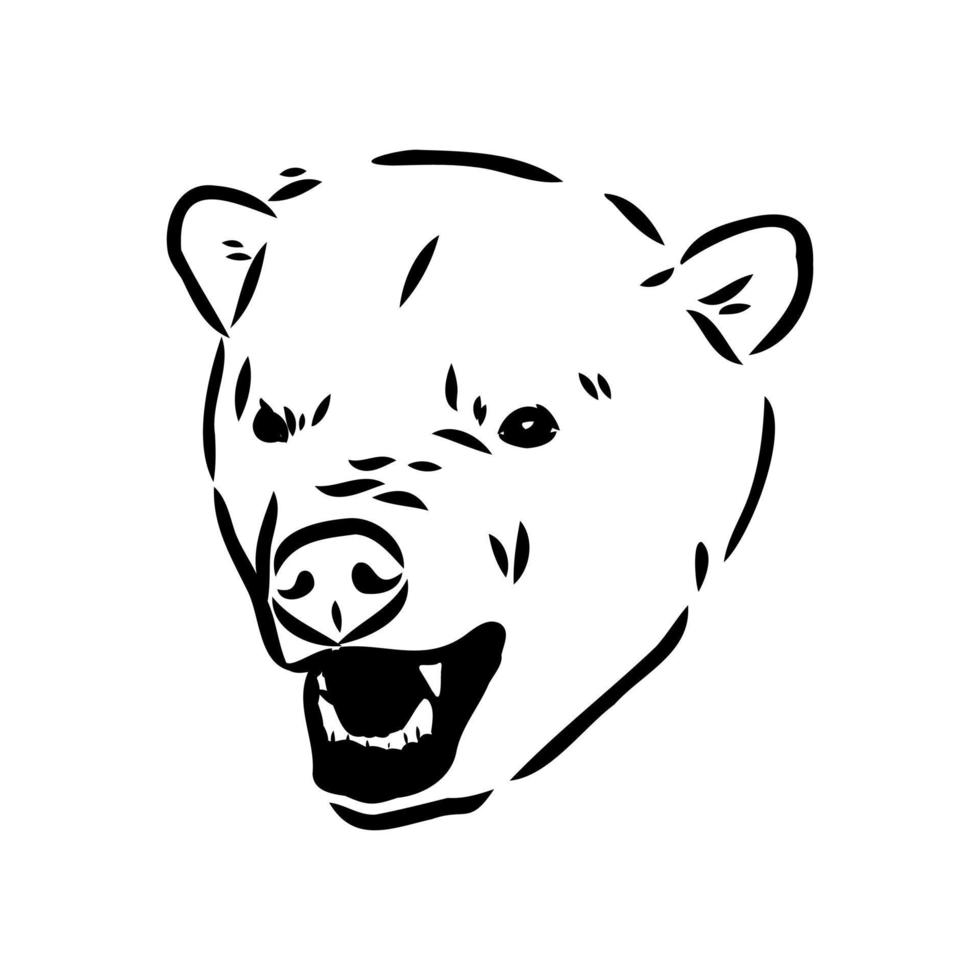 bosquejo del vector del oso polar