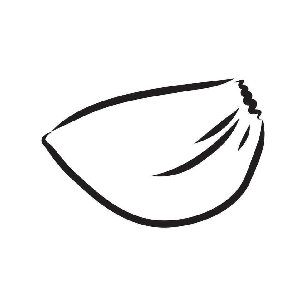 garlic vector sketch