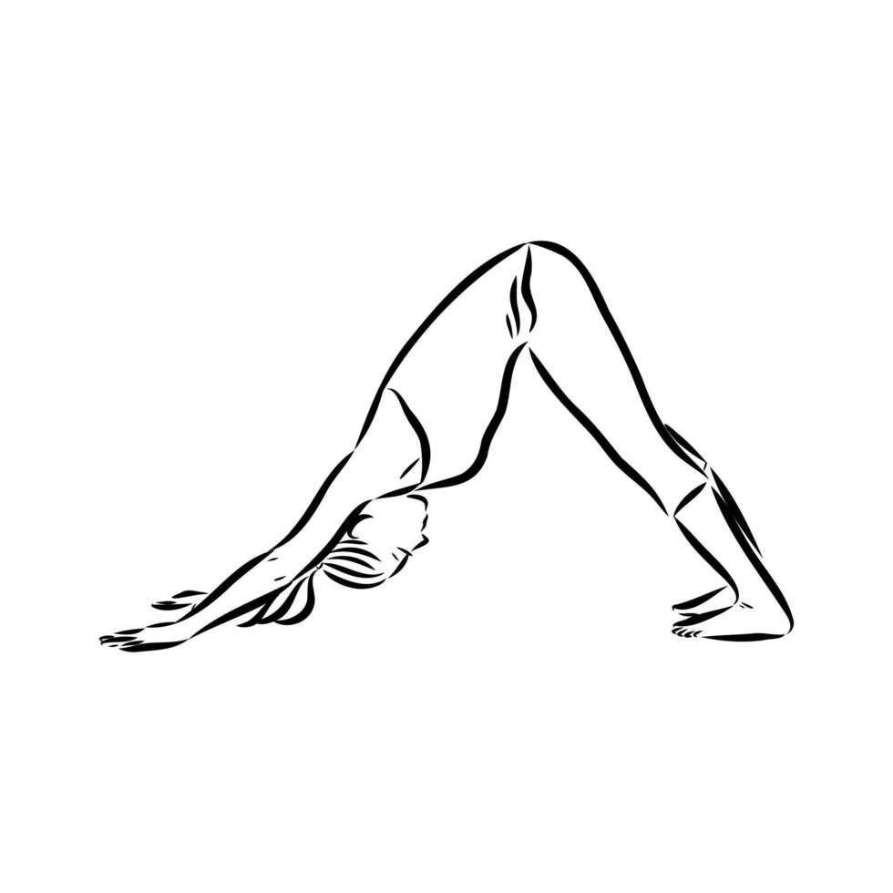 bosquejo del vector de la pose de yoga