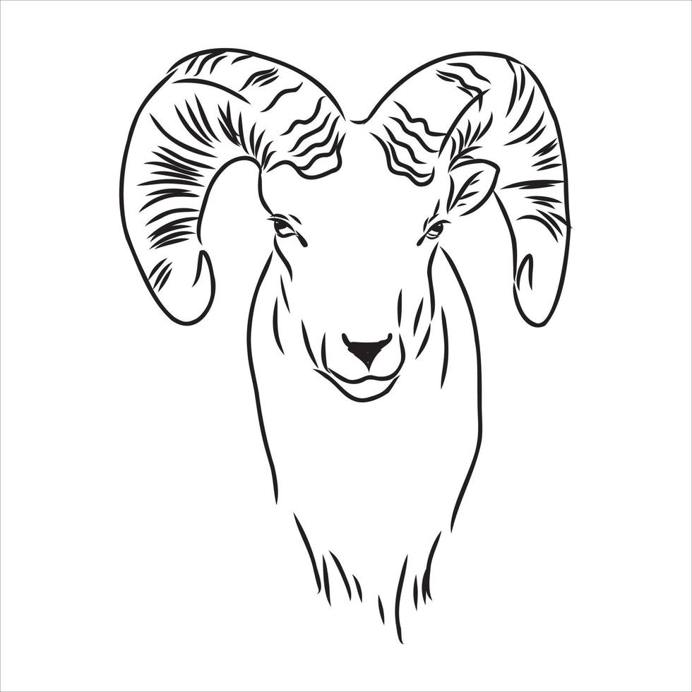 mountain goat vector sketch