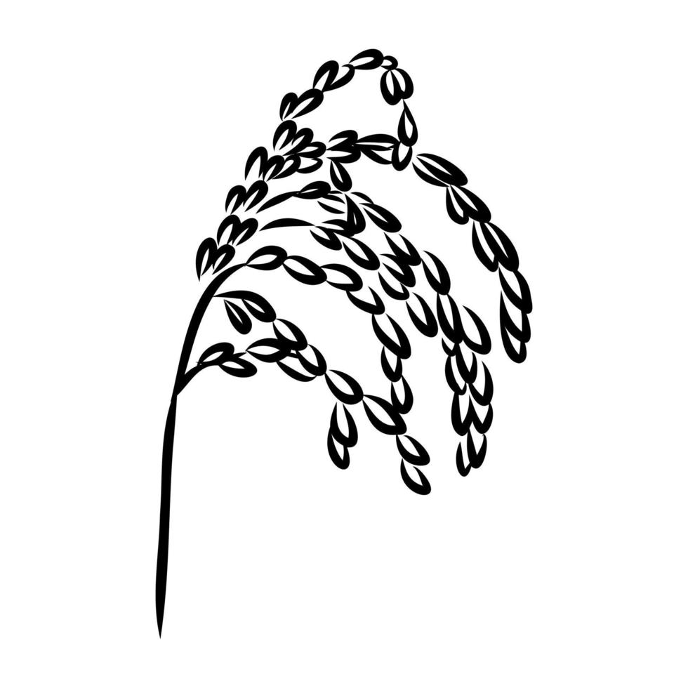 bosquejo del vector de la planta de arroz