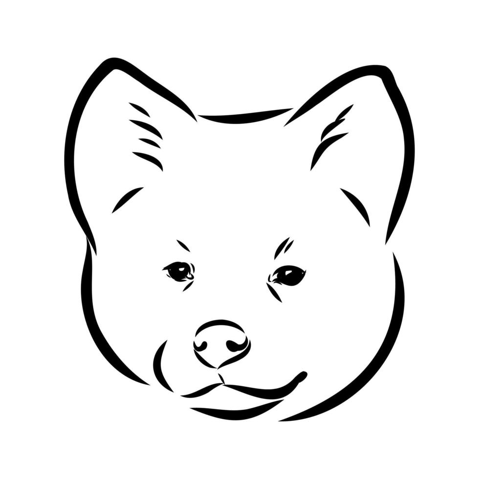 akita inu dog vector sketch
