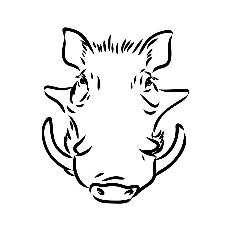 warthog vector sketch