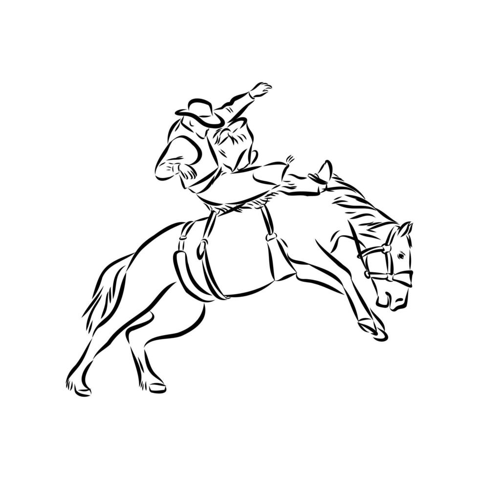 rodeo vector sketch
