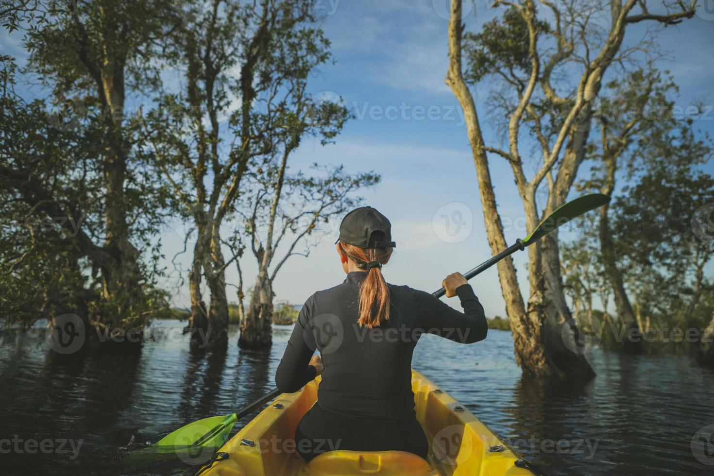 woman sailing sea kayak in mangrove forest photo