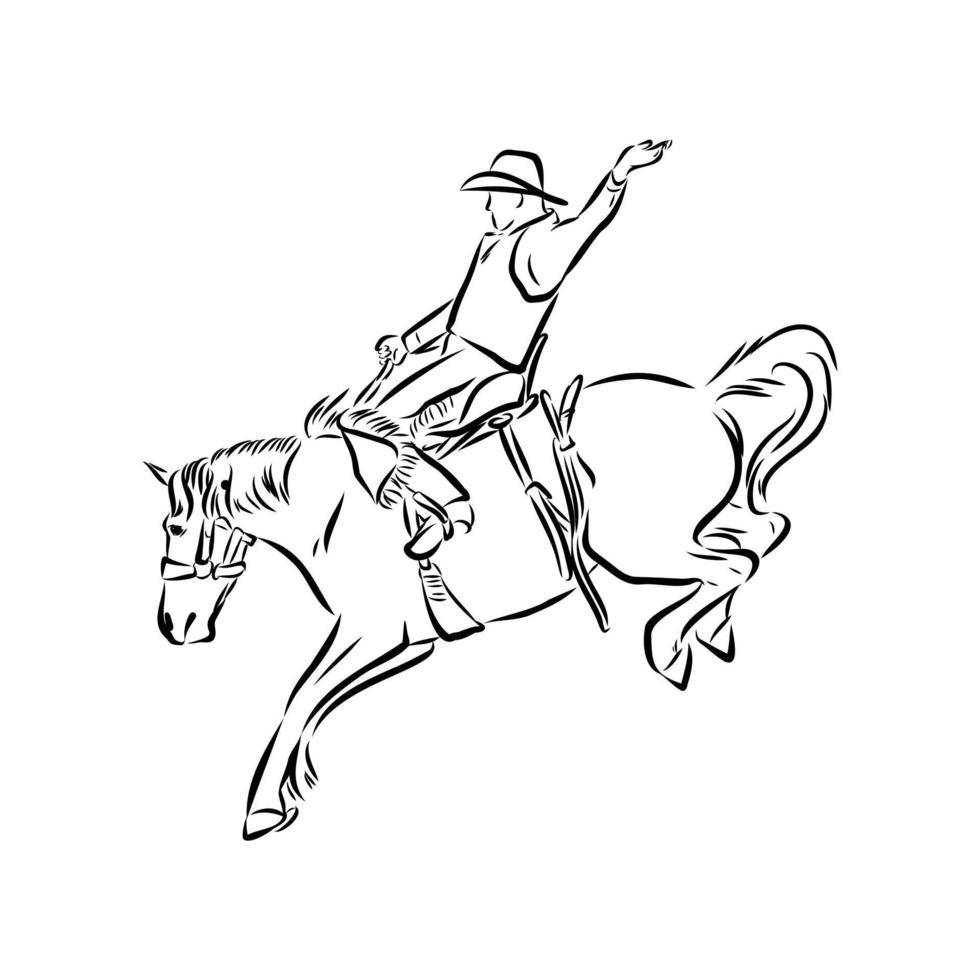 rodeo vector sketch