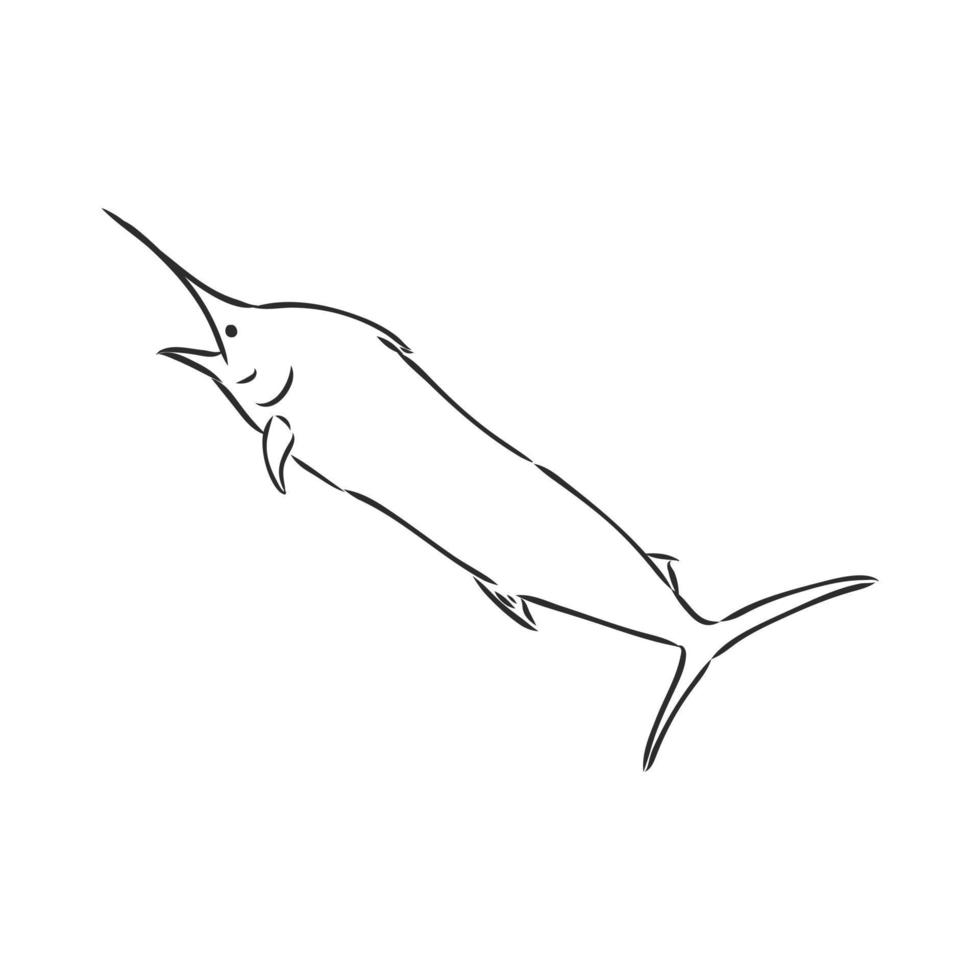 dibujo vectorial de pez marlin vector