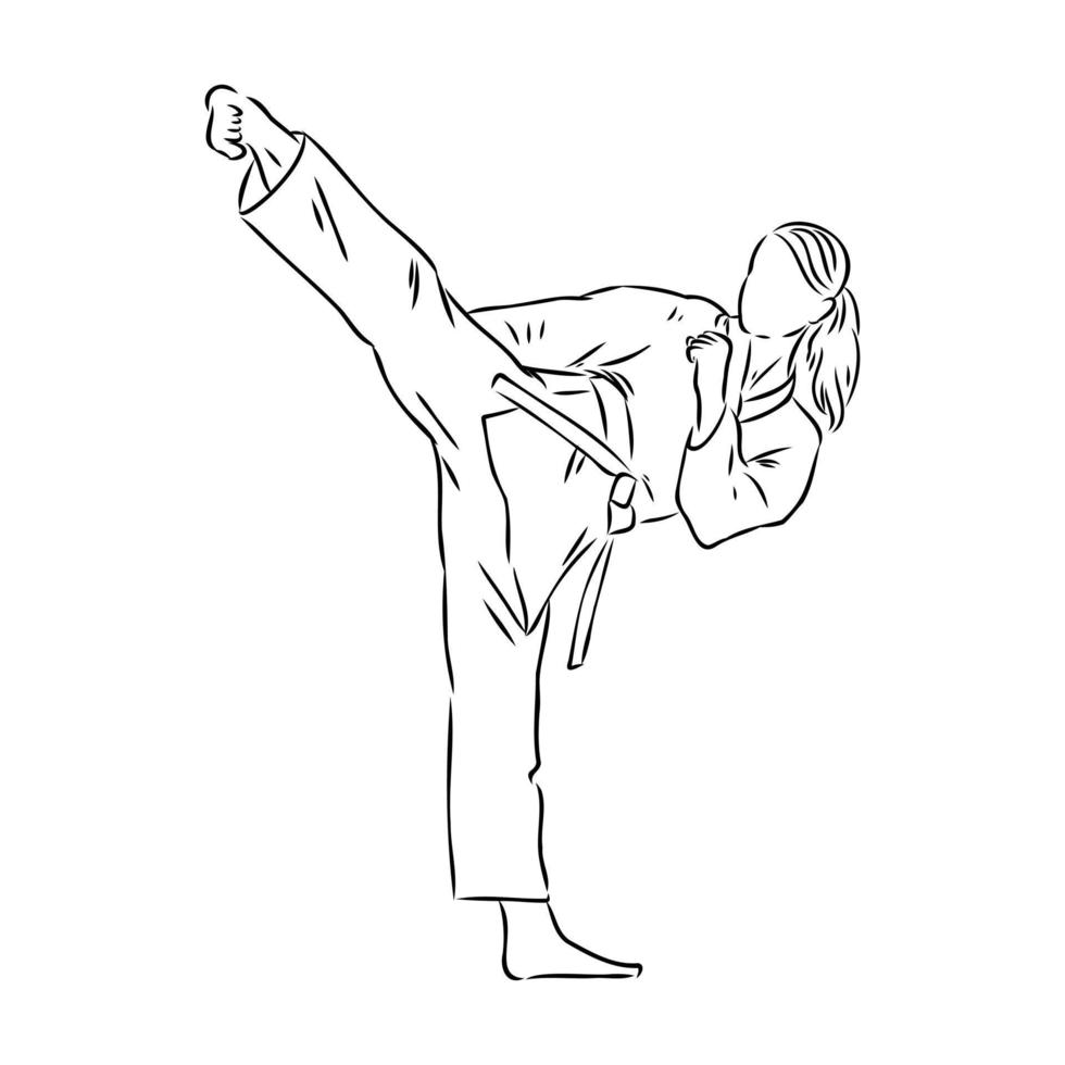 bosquejo del vector del karate