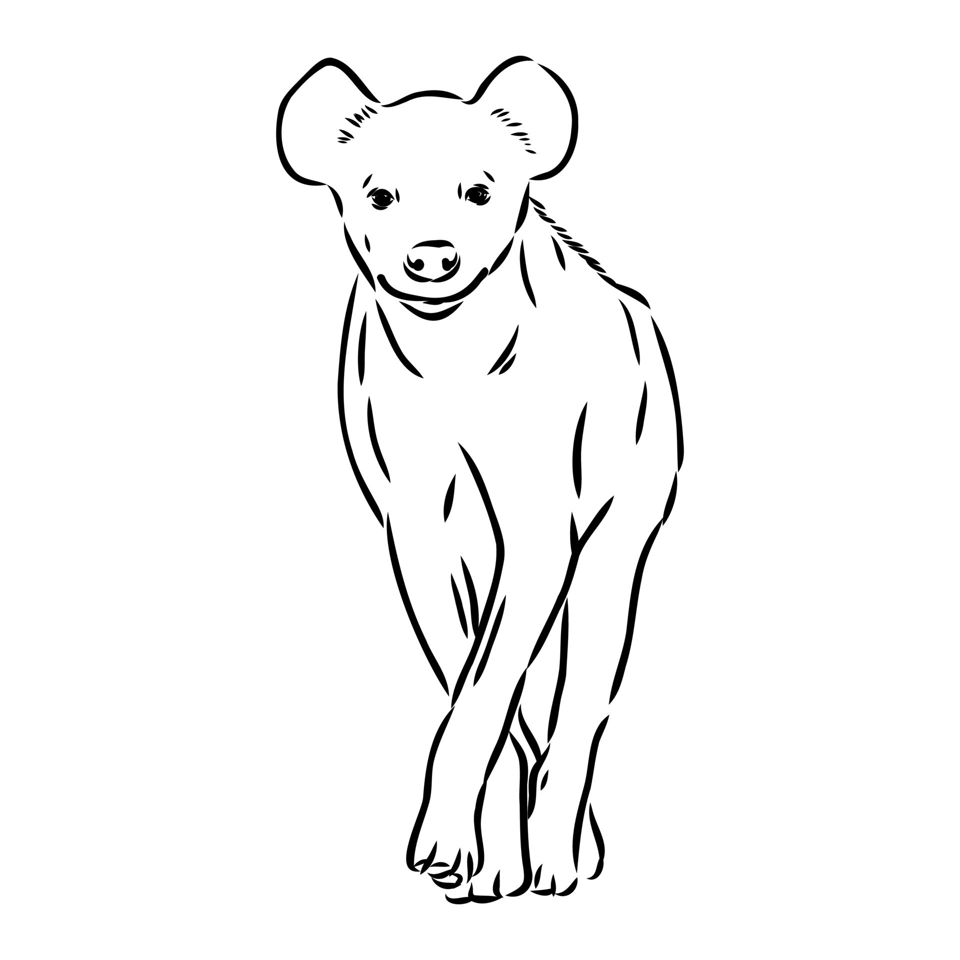 Line art Drawing hyena white mammal png  PNGEgg