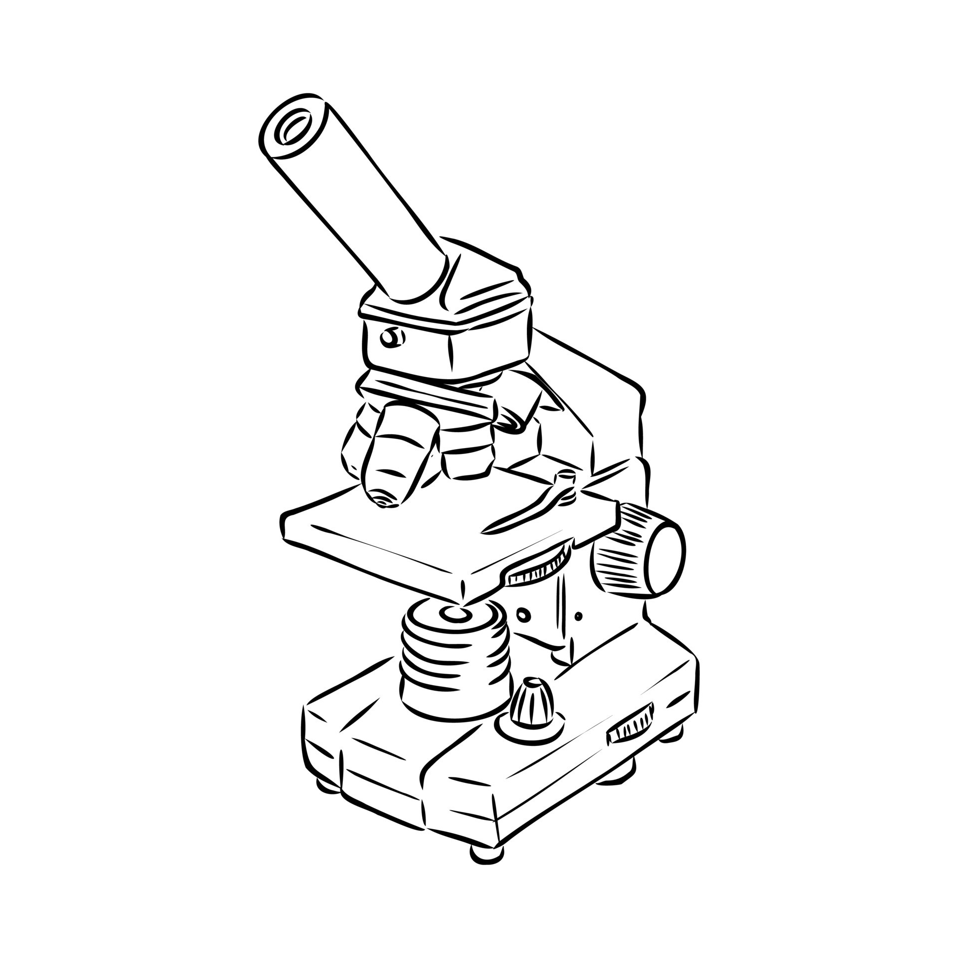 Microscope Sketch Images  Browse 8024 Stock Photos Vectors and Video   Adobe Stock