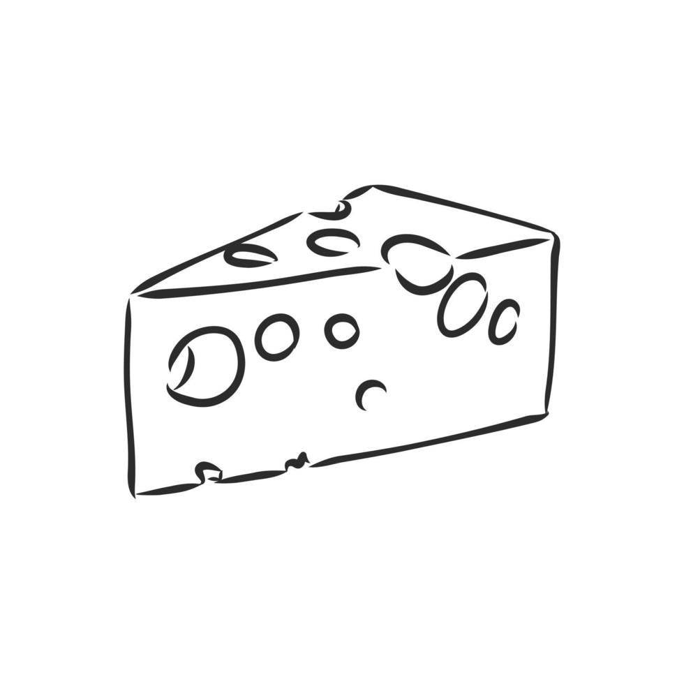 un trozo de dibujo vectorial de queso vector