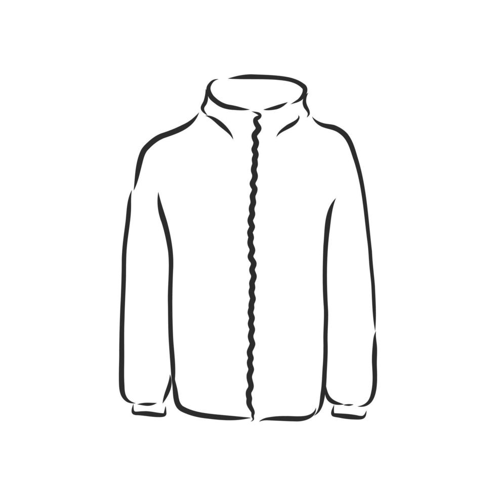 suit jacket vector sketch