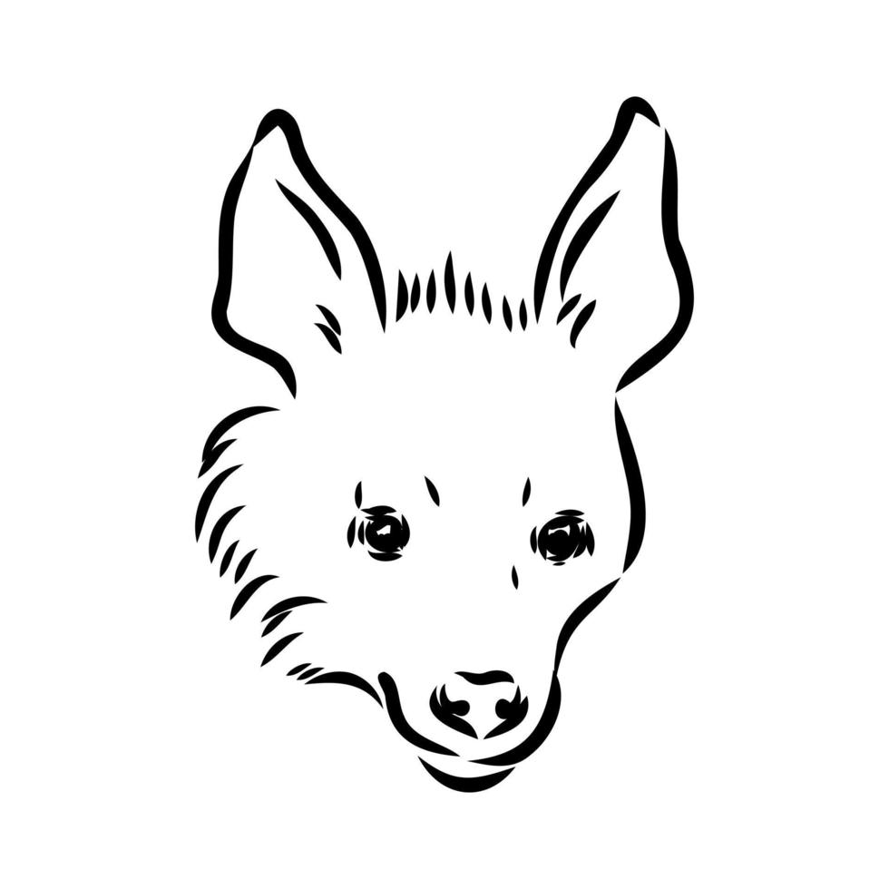 hyena vector sketch