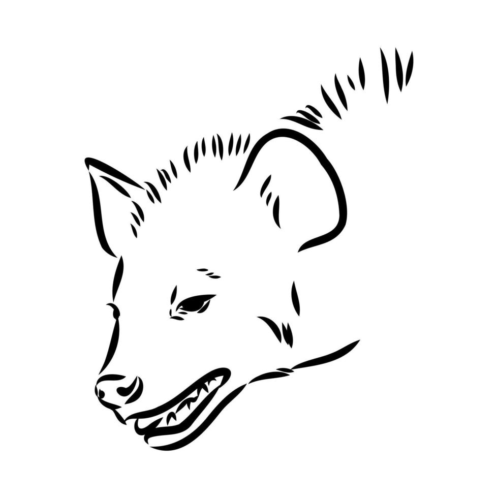 hyena vector sketch