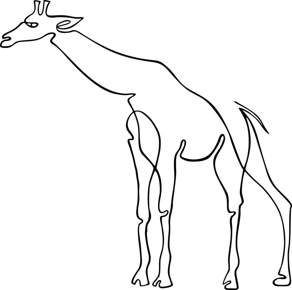 ilustración de arte de línea interminable de jirafa. dibujo de contorno negro continuo vector
