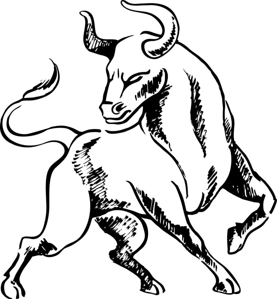 Bull ink sketch. Ox, bull, cow Drawing bull, ox, cowhide ink. Big ferocious bull sketch. vector