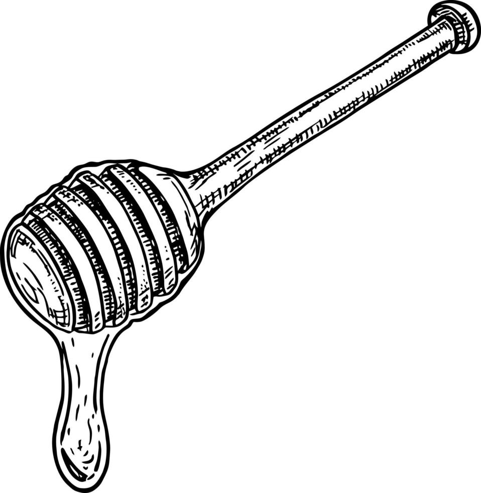 honey spoon with honey Hand drawn vector illustration
