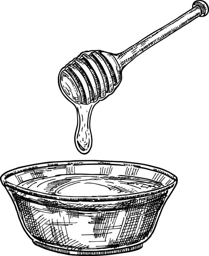 plato de vidrio dibujado a mano lleno de miel vector