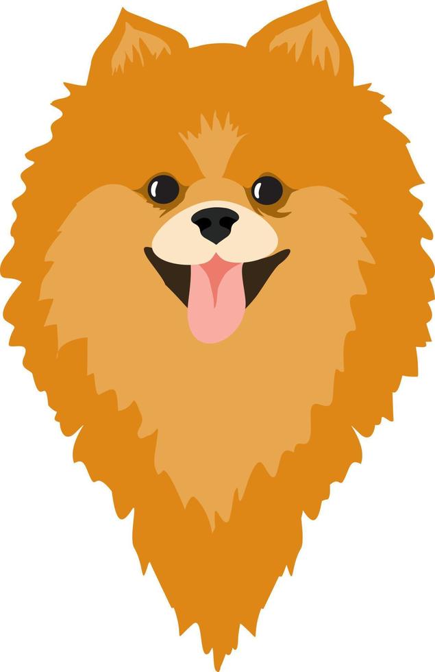 cachorro pomerania spitz. raza de perro spitz, ilustración vector