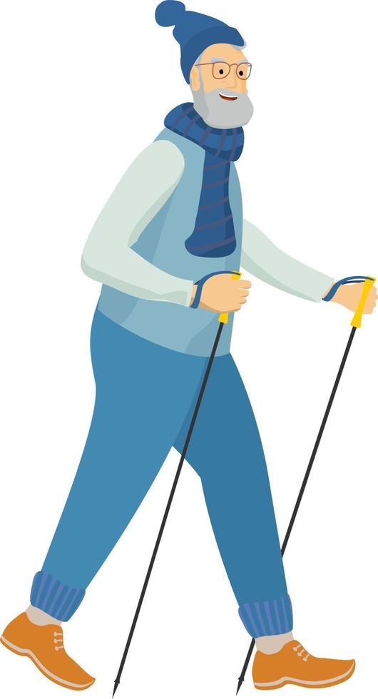 Elderly fit man is engaged in Nordic walking with sticks outdoors. Old athletic man walk on foot in the open air adhering to healthy lifestyle. Vector illustration