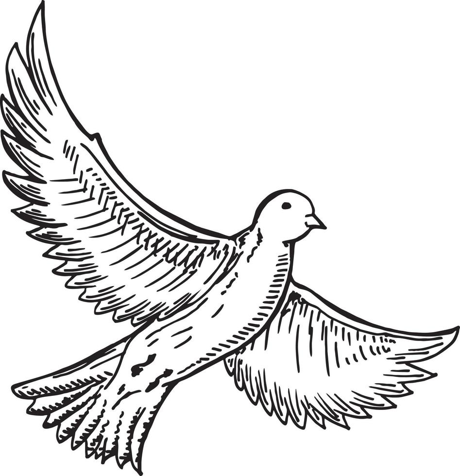 Bird flying hand drawn. Ink black and white drawing. Sketch vector