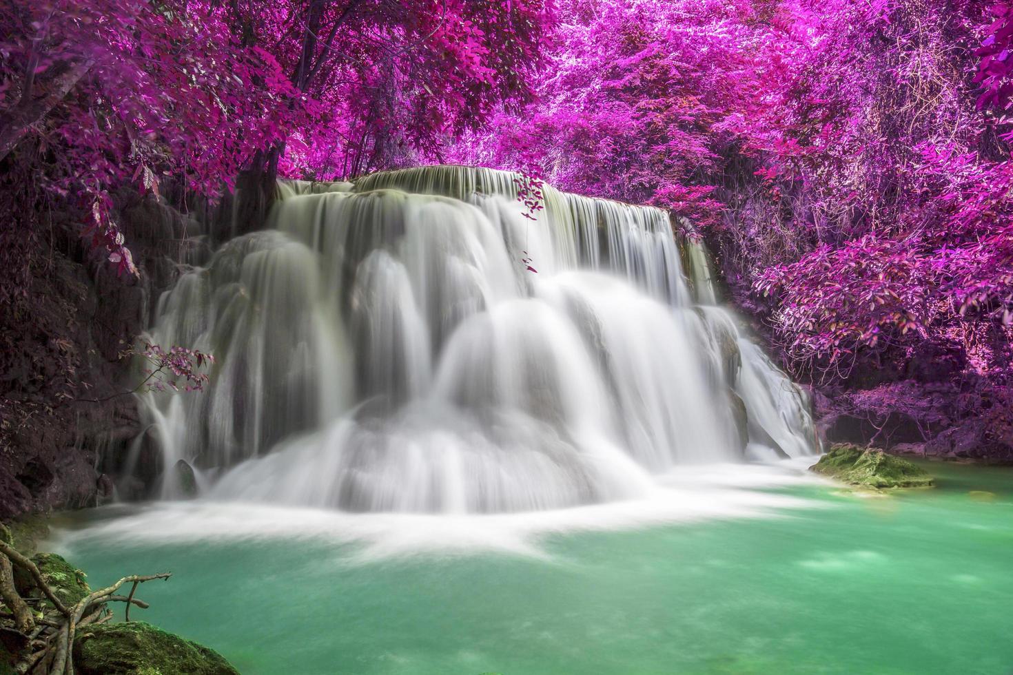 Beautiful waterfall nature scenery of colorful deep forest in summer day photo