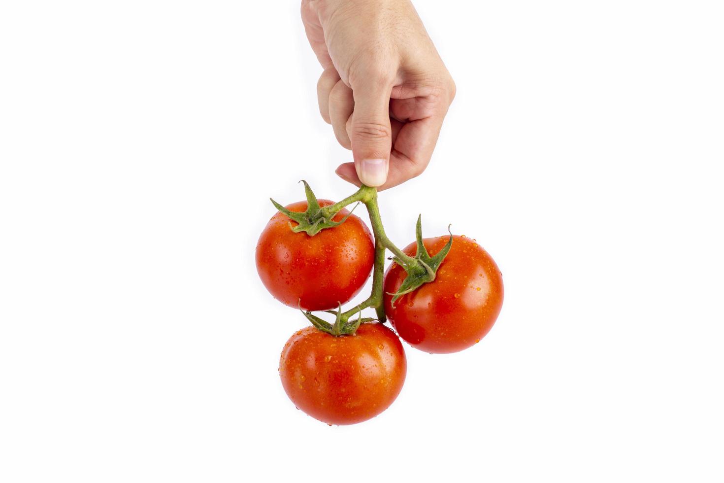 mano sujetando una verdura de tomate rojo, aislada de fondo blanco foto