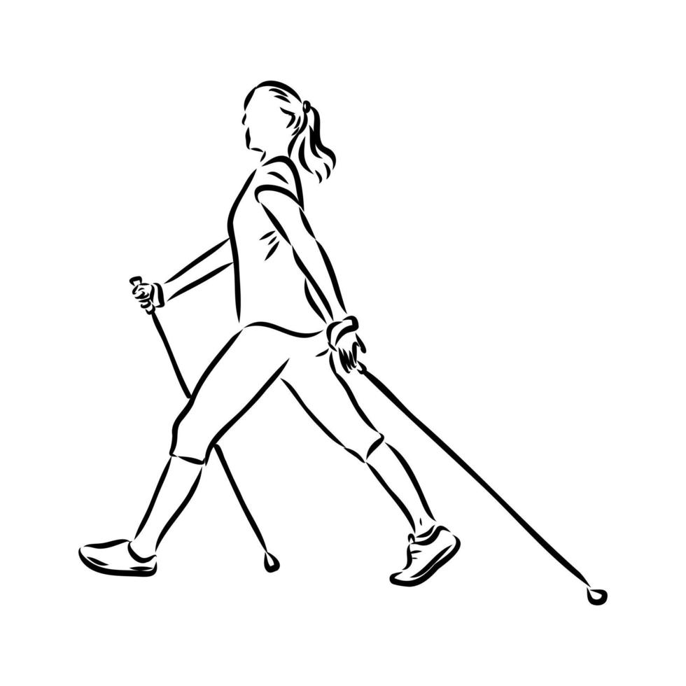 scandinavian walking vector sketch